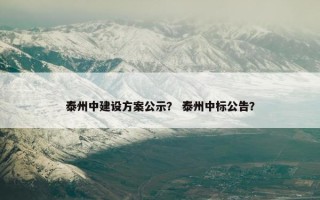 泰州中建设方案公示？ 泰州中标公告？