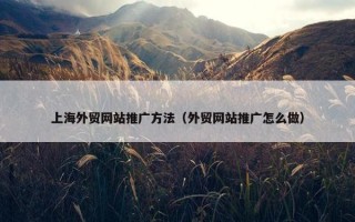 上海外贸网站推广方法（外贸网站推广怎么做）
