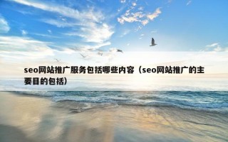 seo网站推广服务包括哪些内容（seo网站推广的主要目的包括）
