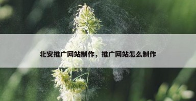 北安推广网站制作，推广网站怎么制作
