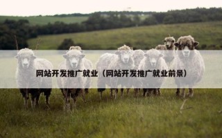 网站开发推广就业（网站开发推广就业前景）