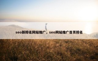 seo新排名网站推广，seo网站推广首页排名