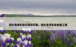 洞头海堤生态化建设方案，洞头海洋生态修复工程