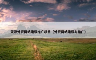 天津外贸网站建设推广项目（外贸网站建设与推广）