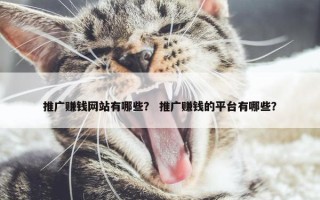 推广赚钱网站有哪些？ 推广赚钱的平台有哪些？