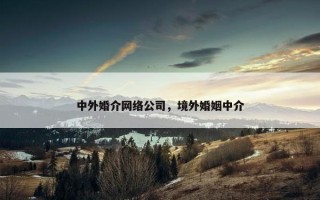 中外婚介网络公司，境外婚姻中介