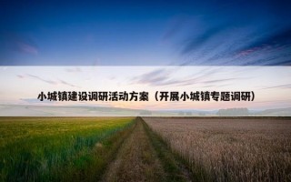 小城镇建设调研活动方案（开展小城镇专题调研）