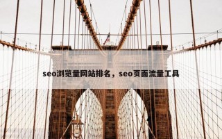 seo浏览量网站排名，seo页面流量工具
