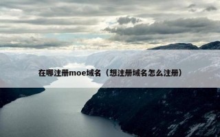 在哪注册moe域名（想注册域名怎么注册）