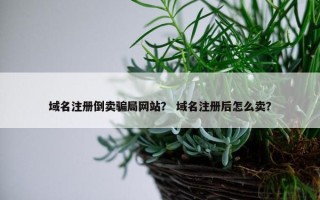域名注册倒卖骗局网站？ 域名注册后怎么卖？