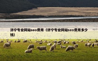 济宁专业网站seo费用（济宁专业网站seo费用多少钱）