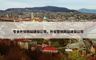 专业外贸网站建设公司，外贸营销网站建设公司