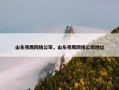 山东夜鹰网络公司，山东夜鹰网络公司地址