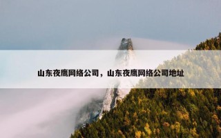 山东夜鹰网络公司，山东夜鹰网络公司地址