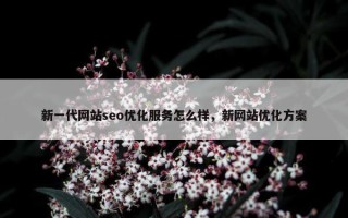 新一代网站seo优化服务怎么样，新网站优化方案