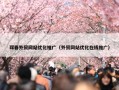 珲春外贸网站优化推广（外贸网站优化在线推广）