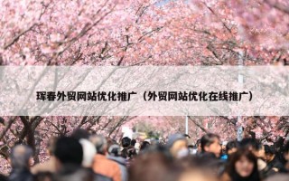 珲春外贸网站优化推广（外贸网站优化在线推广）