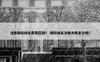 注册商标域名费用区别？ 商标域名注册大概多少钱？