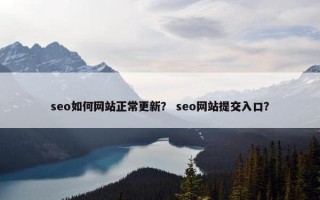 seo如何网站正常更新？ seo网站提交入口？