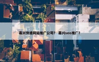 嘉兴快速网站推广公司？ 嘉兴seo推广？