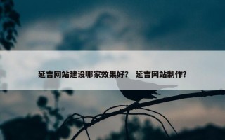延吉网站建设哪家效果好？ 延吉网站制作？