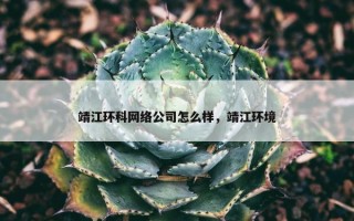 靖江环科网络公司怎么样，靖江环境
