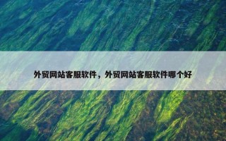 外贸网站客服软件，外贸网站客服软件哪个好
