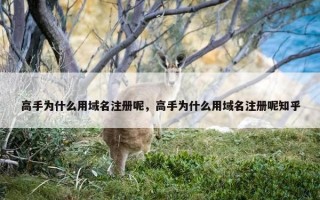 高手为什么用域名注册呢，高手为什么用域名注册呢知乎
