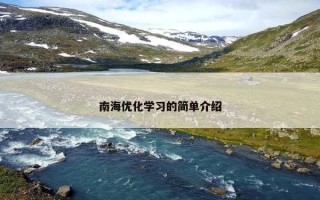 南海优化学习的简单介绍