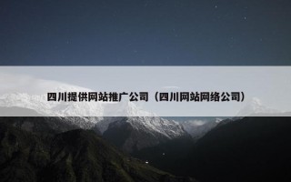 四川提供网站推广公司（四川网站网络公司）