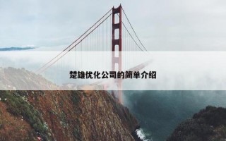 楚雄优化公司的简单介绍