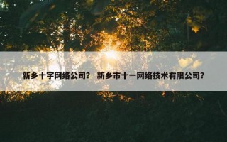新乡十字网络公司？ 新乡市十一网络技术有限公司？