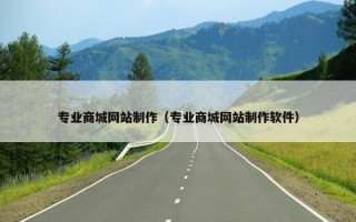 专业商城网站制作（专业商城网站制作软件）