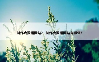 制作大数据网站？ 制作大数据网站有哪些？