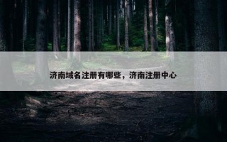 济南域名注册有哪些，济南注册中心