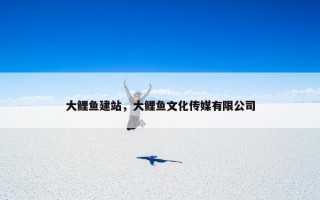 大鲤鱼建站，大鲤鱼文化传媒有限公司