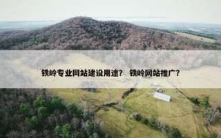 铁岭专业网站建设用途？ 铁岭网站推广？