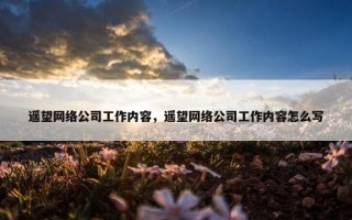 遥望网络公司工作内容，遥望网络公司工作内容怎么写