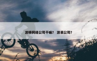 游移网络公司干嘛？ 游易公司？
