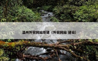 温州外贸网站搭建（外贸网站 建设）
