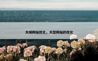 大城网站优化，大型网站的优化