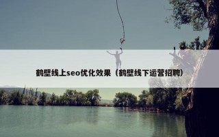 鹤壁线上seo优化效果（鹤壁线下运营招聘）