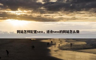 网站怎样配置seo，适合seo的网站怎么做