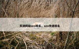 天津网站seo排名，seo快速排名