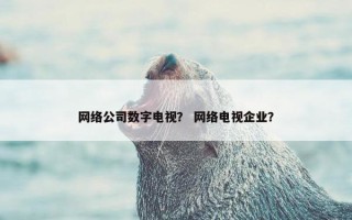 网络公司数字电视？ 网络电视企业？