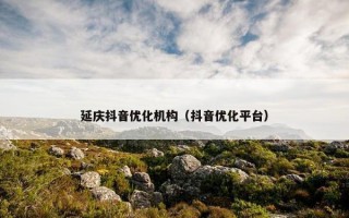 延庆抖音优化机构（抖音优化平台）