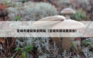 宣城市建设员会网站（宣城市建设委员会）