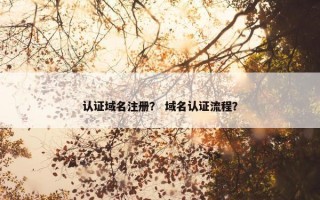 认证域名注册？ 域名认证流程？