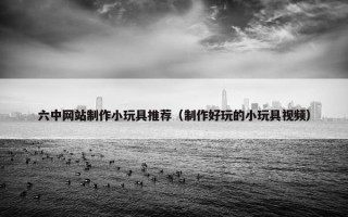 六中网站制作小玩具推荐（制作好玩的小玩具视频）