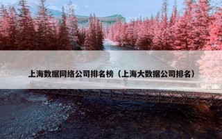 上海数据网络公司排名榜（上海大数据公司排名）